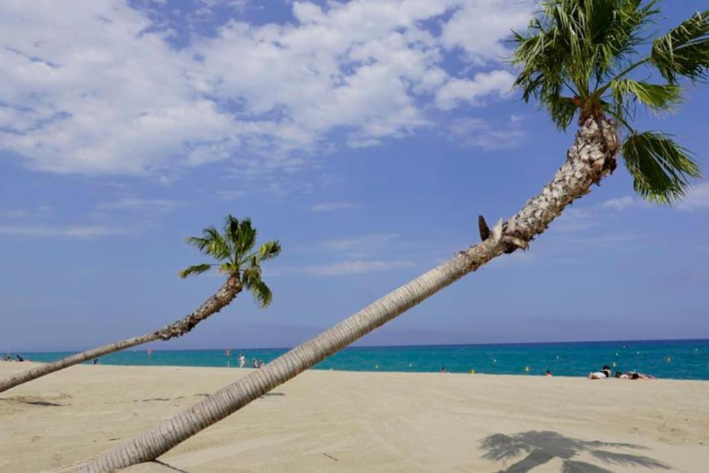 A 500 M De La Plage, Tout Confort Avec Wifi Le Barcarès Esterno foto